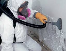 Best Basement Mold Removal  in Plainfield, NJ